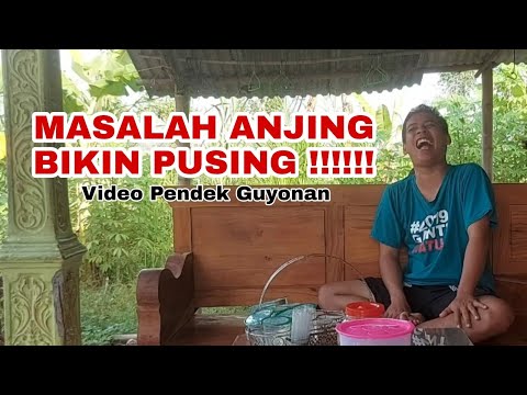 masalah-anjing-video-pendek-guyonan