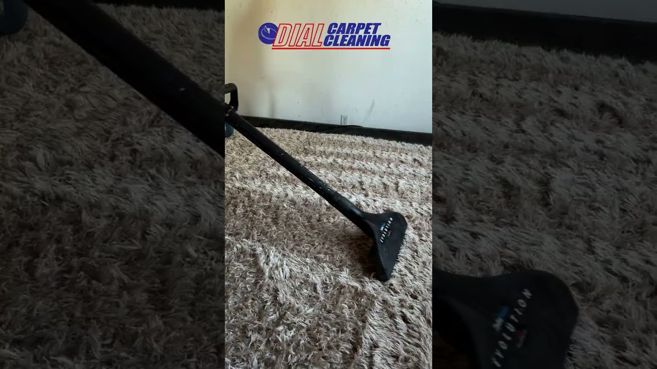 Fluffy Rug Gets Deep Clean