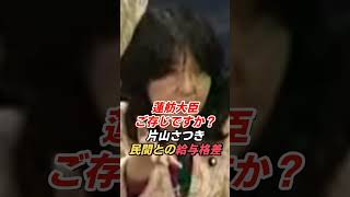 片山さつき「蓮舫大臣、ご存じですか？」民間と公務員の給与格差を追及