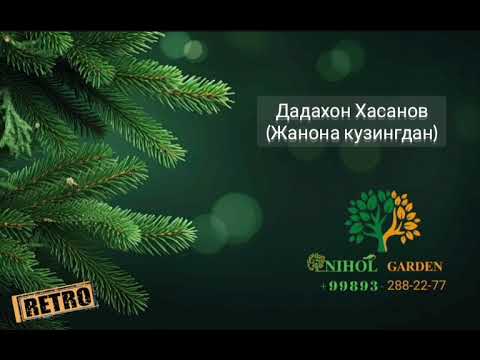 Dadahon Hasanov - Janona ko'zingdan