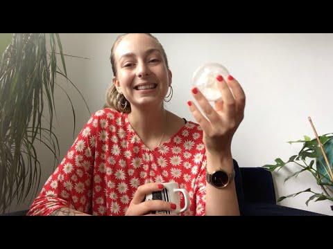 Scentwork 3: Teaching a Freeze Indication