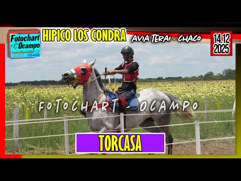 TORCASA Avia Terai CH 14 12 2025