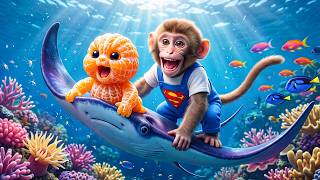 Download lagu Monyet Mono Imut Berhasil Lulus Kursus Menyelam dan Mewujudkan Mimpinya Menjelajahi Dasar Laut mp3