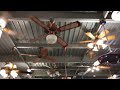 Fanimation Museum Vintage Fans 2023