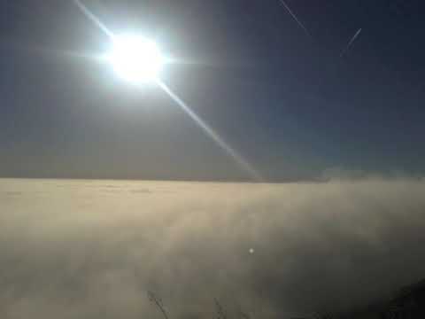 Prismatics - Meadow Star