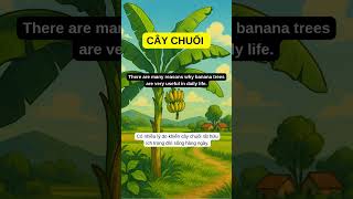 LUYỆN NGHE TIẾNG ANH GIAO TIẾP THEO CHỦ ĐỀ - CÂY CHUỐI #hoctienganh #tienganhgiaotiep