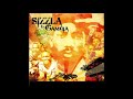 Sizzla - Let It Grow (feat. Jesse Jendah)