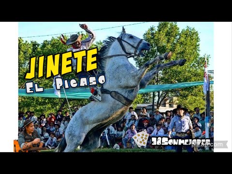 Jinete | El Picaso