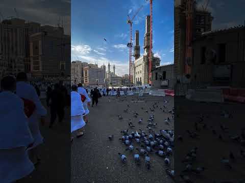 mare ulfat madina sy uhi ni❤️#sobhanallah #mashallah