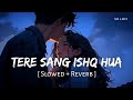 Tere Sang Ishq Hua Slowed Reverb Arijit Singh Neeti Mohan Yodha SR Lofi