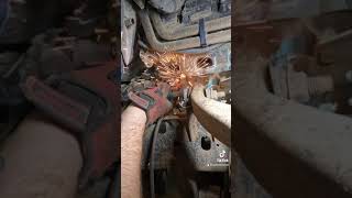 A Guide to Replacing the Exhaust Manifold Gaskets on Your 2004-2010