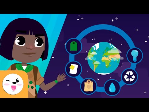 Como cuidar do meio ambiente? -  10 dicas para cuidar do meio ambiente