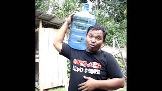 Download lagu Info THR 2021 | Kumpulan Status WhatsApp mp3 Download lagu Info THR 2021 | Kumpulan Status WhatsApp mp3