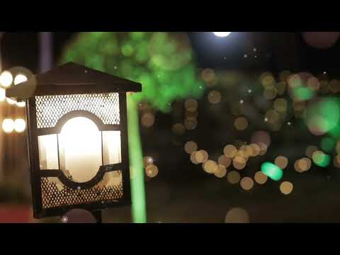 Wedding Decorator portfolio by Weddings By Rishabh in Delhi - Photo 0