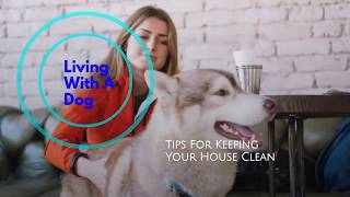 Living with A Dog – Tips For Keeping Your House Clean