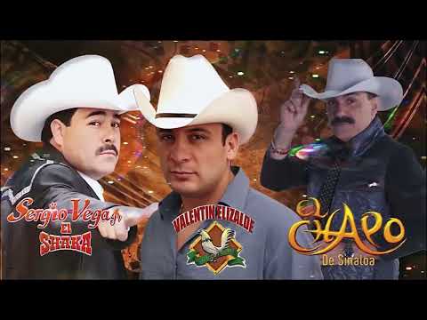 Banda Romántica 💦💦💦 | El Chapo De Sinaloa, Sergio Vega y Valentín Elizalde – Puras Canciones de Amor