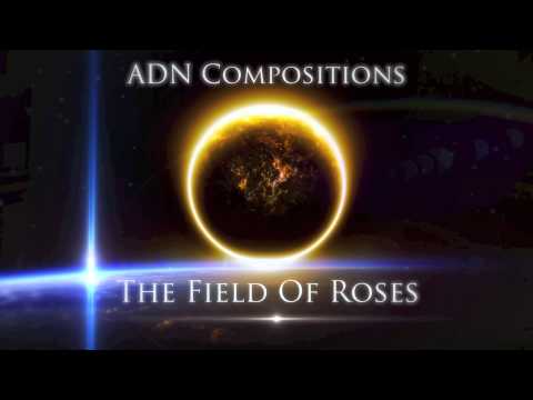 ADN Compositions - The Field Of Roses