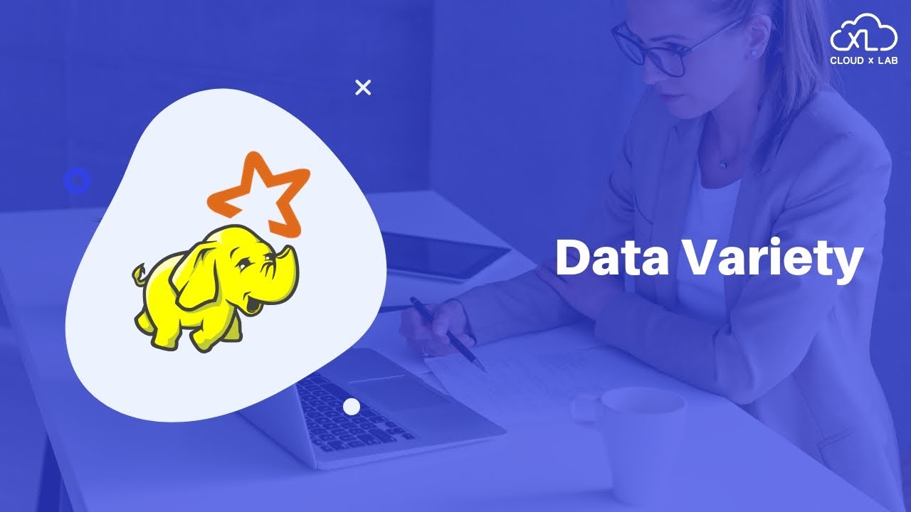 2.1. Big Data Introduction | Data Variety