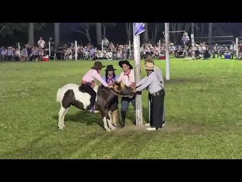 1° Festival Nocturno de Jineteada y Bailanta 💥👉 LA Brava Santa Fe 