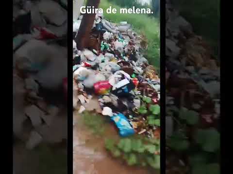 Güira de Melena.