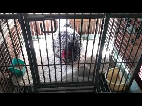 Graces new home!  190330