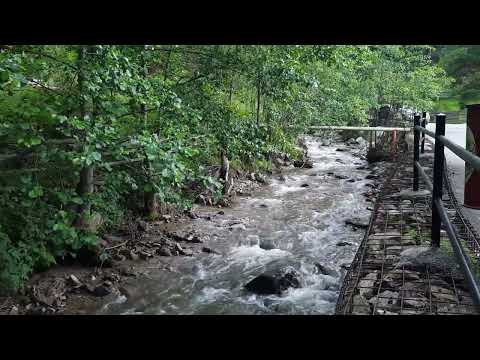 Perla Mărtiniei | 2022