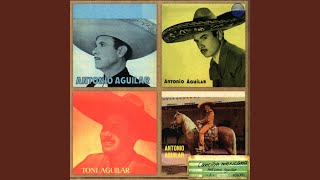 Prisionero en Tus Brazos