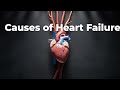 What Causes Heart Failure And How Does It Happen