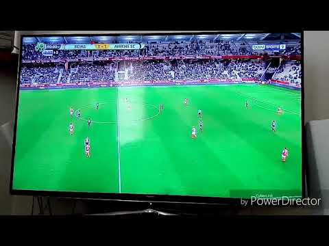 Il y a plus d'un an , l'Amiens SC montait en Ligue 1 Conforama