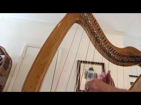 MusicMakers Cheyenne with Prestige Lever Gut Strings