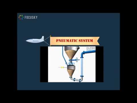 Skimmed milk powder in particle technology