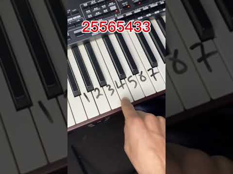 Invata sa canti Marry Christmas la orga