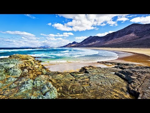 Zynikaehr - Costa Calma [offizielles Video]