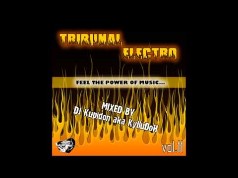 Dj Kupidon aka KyIIuDoH Track 18 TRIBUNAL Electro vol11 2012