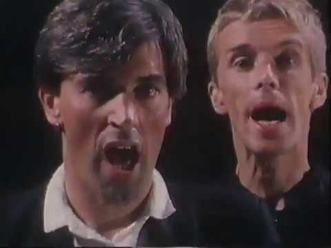 Perhaps - The Sports