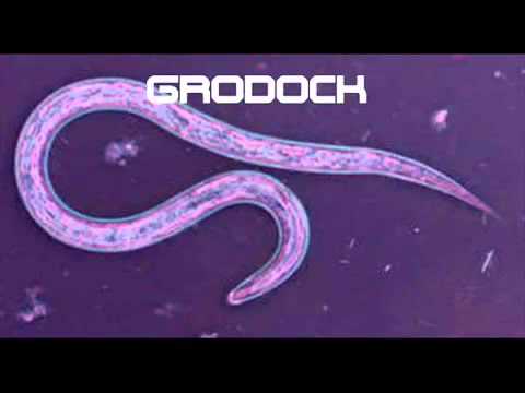 grodock - schienen