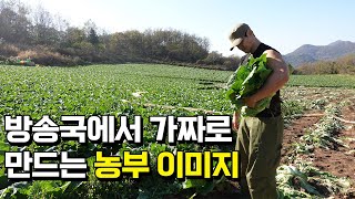 쓰리잡 그만두고 귀농해 배추 농사 짓고 절임배추 공장 운영하는 이유