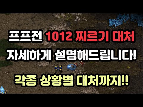 [Protoss Guide] PvP 1012 Zealot Stabbing Counter Strategies (Includes Notepad!!)