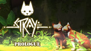 Stray Prologue