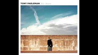 Landscape - Tony Paeleman 