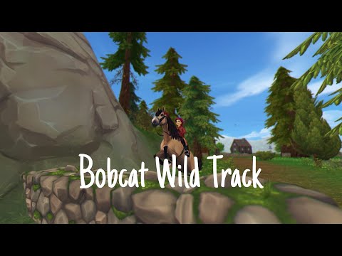 Bobcat Wild Track 01:02:81 | SSO Shortcuts