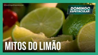 Mitos e Verdades: conheça todos os segredos do limão