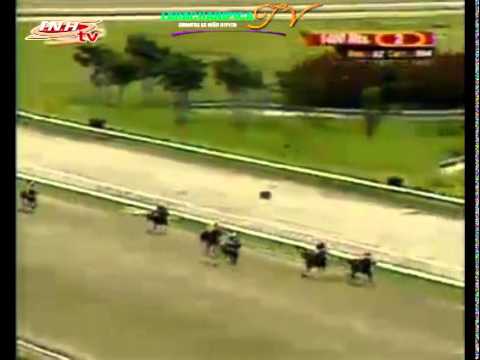 LA RINCONADA 2 CARRERA DOMINGO 23 DE NOVIEMBRE DEL 2014