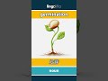 germination - 发芽 video thumbnail