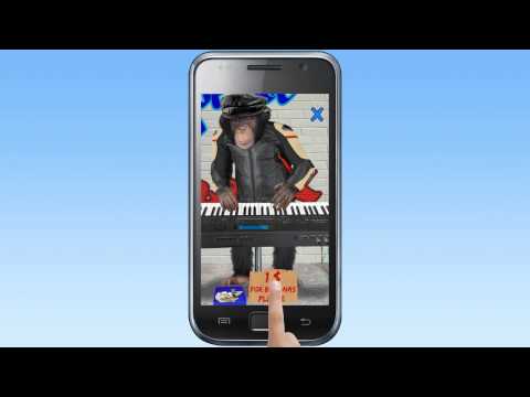 Talking monkey Video