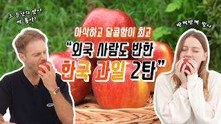 꿀이 들어있어요!🍎 | 한국 과일 어디까지 먹어봤니?