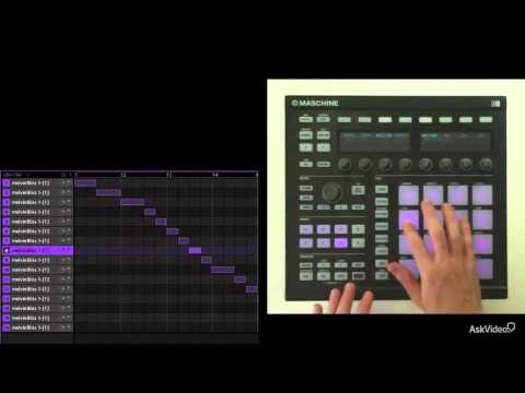 Native Instruments 304: Maschine Virtuosity - 24. The Jeremy System