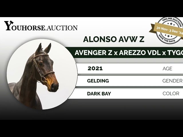 Alonso homevideo