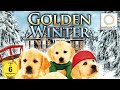 Golden Winter Wir Suchen Ein Zuhause HD Weihnachtsfilm Deutsch