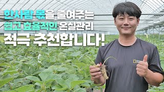 비용은 감소 효과는 강화! 온실 재배 복합환경제어기 & 양액기 이렇게 선택하세요
